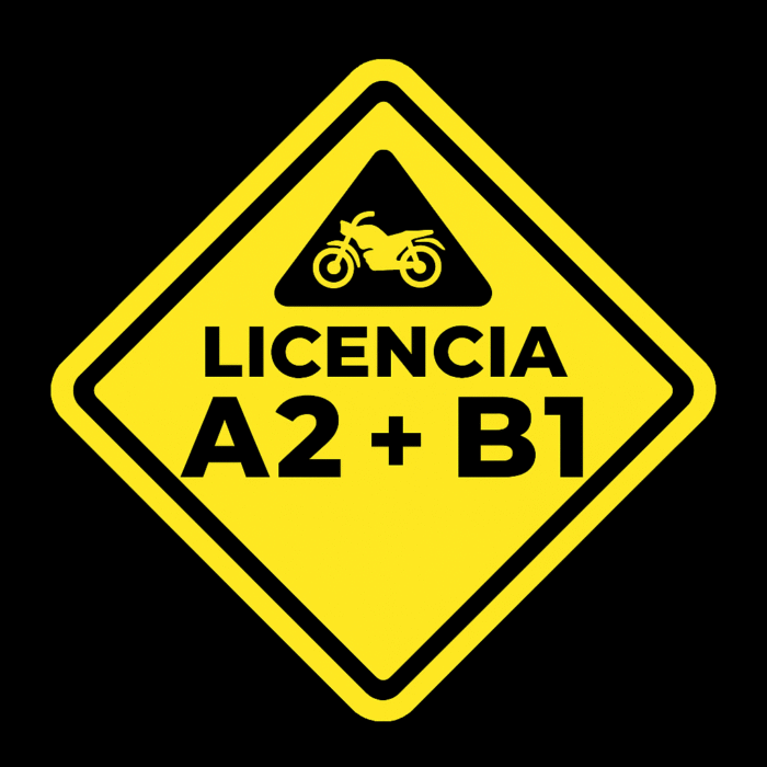 Curso combinado A2 + B1 - Image 1