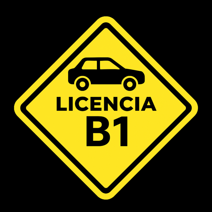 Curso de conducción B1 (Carro Particular) - Image 1